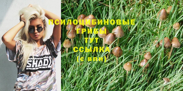 метамфетамин Дмитриев