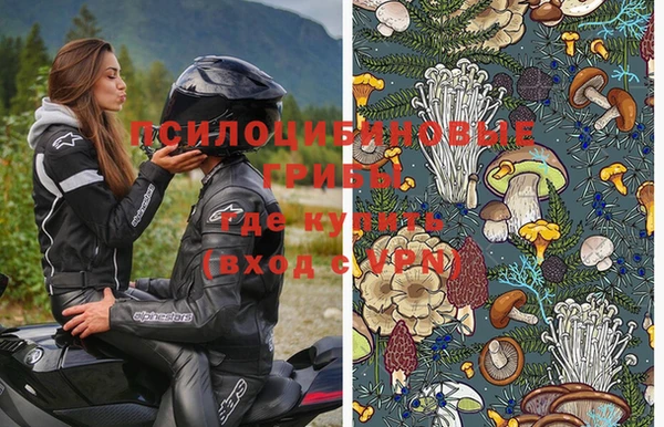 каннабис Дмитров